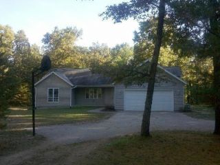 Foreclosed Home - 22241 N COUNTYLINE RD, 49337