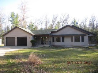 Foreclosed Home - 6803 S CROTON HARDY DR, 49337