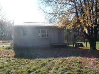 Foreclosed Home - 10950 14 MILE RD NE, 49341