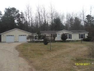 Foreclosed Home - 6180 W 2 MILE RD, 49349