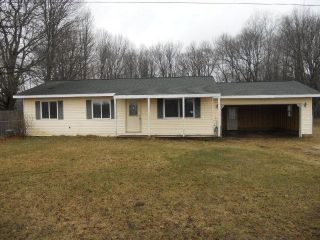Foreclosed Home - 1465 S WISNER AVE, 49412