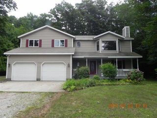 Foreclosed Home - 11230 LAKESHORE DR, 49417