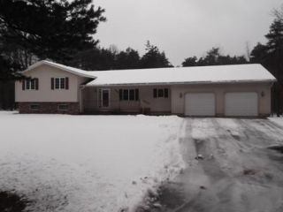 Foreclosed Home - 12075 SARABECK LN, 49417