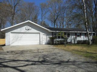 Foreclosed Home - 12860 128TH AVE, 49417