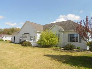 Foreclosed Home - 2914 TANSY TRL SW, 49418