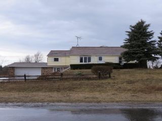 Foreclosed Home - 2330 W TYLER RD, 49420