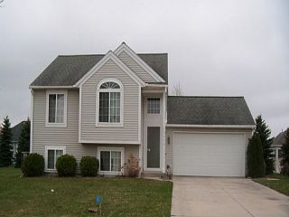 Foreclosed Home - 12970 CARYN WAY, 49424