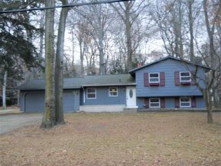 Foreclosed Home - 313 GREENWOOD AVE, 49424