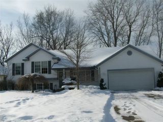 Foreclosed Home - 3313 CREEK CT, 49424