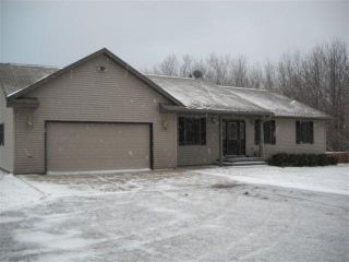 Foreclosed Home - 4899 W FOUNTAIN RD, 49431