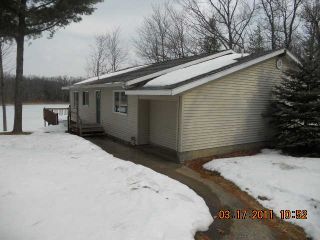 Foreclosed Home - 8253 S 116TH AVE, 49452