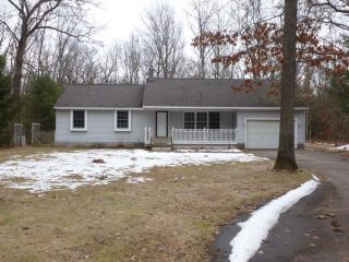 Foreclosed Home - 2534 PILLON RD, 49457