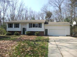 Foreclosed Home - 2007 NORTHSIDE DR, 49457