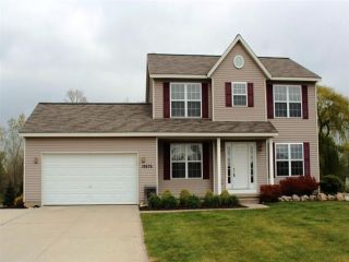 Foreclosed Home - 10676 LITTLE BASS CT, 49464