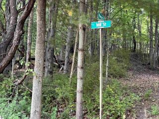 Foreclosed Home - List 101206580