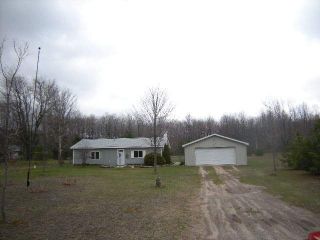 Foreclosed Home - 75 S WELDON RD, 49617