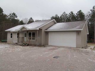 Foreclosed Home - 716 YACKS DR, 49617
