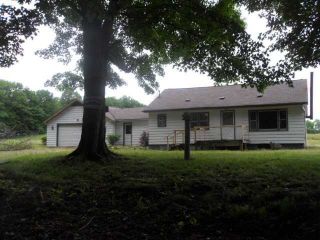 Foreclosed Home - 9680 10 MILE RD, 49631