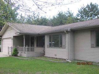 Foreclosed Home - 10510 RIVERSIDE DR, 49640