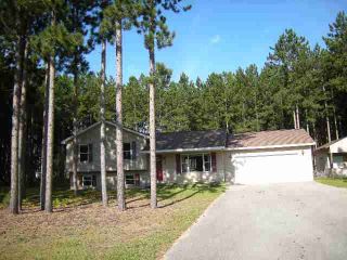 Foreclosed Home - 2834 LAKES NORTH DR, 49643