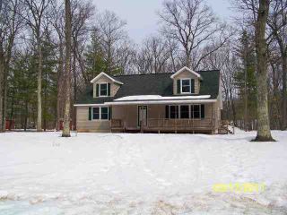 Foreclosed Home - 8964 W ELBOW DR, 49644