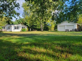 Foreclosed Home - 8705 MCMARTIN RD, 49645