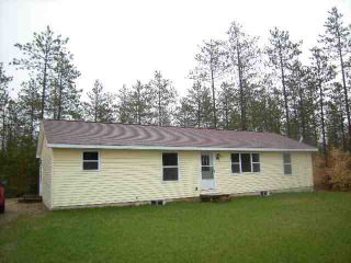 Foreclosed Home - 9843 DELL RD, 49649