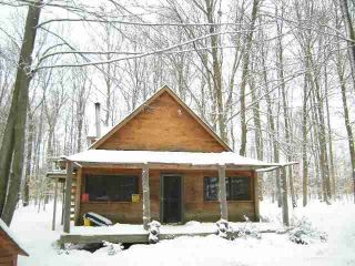 Foreclosed Home - 11280 SUMMIT CITY RD, 49649