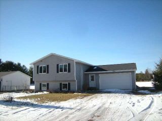 Foreclosed Home - 6352 N REYNOLDS RD, 49650