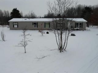 Foreclosed Home - 351 W FINKLE RD, 49657