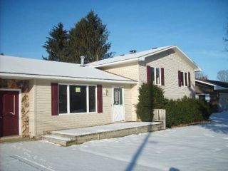 Foreclosed Home - 401 SUNNYSIDE ST, 49659