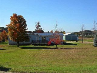 Foreclosed Home - 4397 N 47 RD, 49663