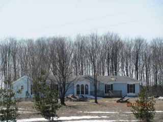 Foreclosed Home - 11527 RAMSAY RD, 49683