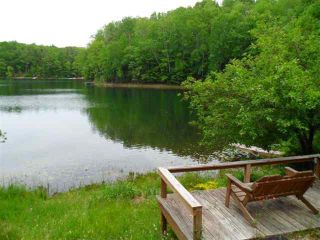 Foreclosed Home - List 100309805