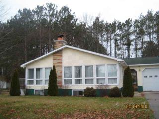 Foreclosed Home - 119 HAMPTON RD, 49720