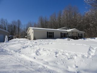 Foreclosed Home - 7265 VAN TYLE RD, 49735
