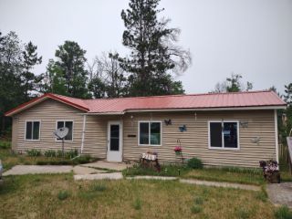 Foreclosed Home - 3429 E M 72 HWY, 49738