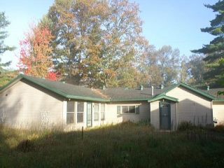 Foreclosed Home - 4019 MONTMORENCY ST, 49756