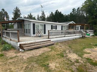 Foreclosed Home - 3195 LYLE RD, 49756