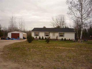 Foreclosed Home - 588 ZIPF ST, 49769