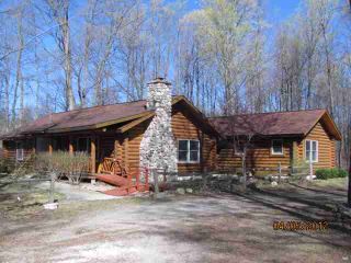Foreclosed Home - 9233 PICKEREL LAKE RD, 49770