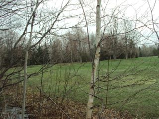 Foreclosed Home - 3629 GOLFVIEW DR LOT 71, 49799