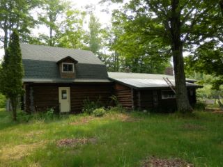 Foreclosed Home - W17891 S CURTIS RD, 49836