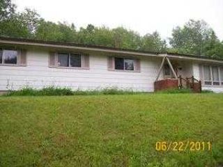 Foreclosed Home - 1221 CARLOS ST, 49945
