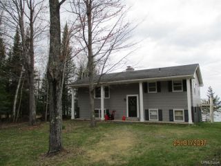 Foreclosed Home - 14662 PEQUAMING RD, 49946