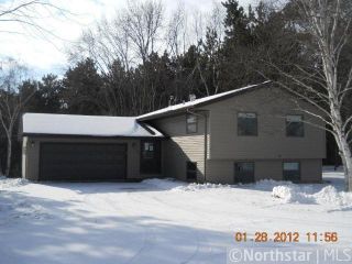 Foreclosed Home - 659 200TH AVE, 54025
