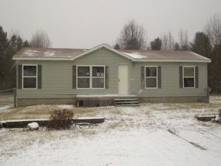 Foreclosed Home - N1055 SHORE DR, 54143