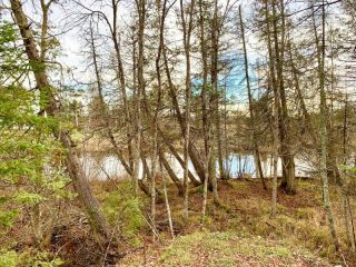 Foreclosed Home - List 100544028
