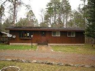 Foreclosed Home - 43045 LAKE LODGE DR, 54821