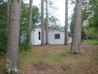 Foreclosed Home - 11936 S Lavoy Rd, 54873